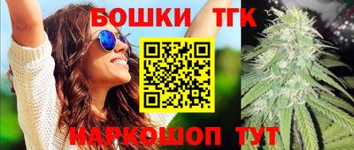 крисы Новокубанск