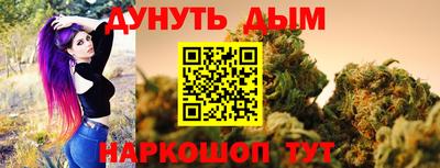 крисы Новокубанск