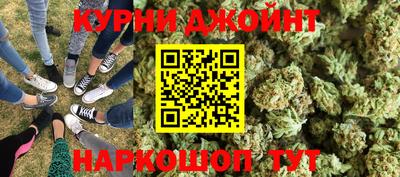 крисы Новокубанск