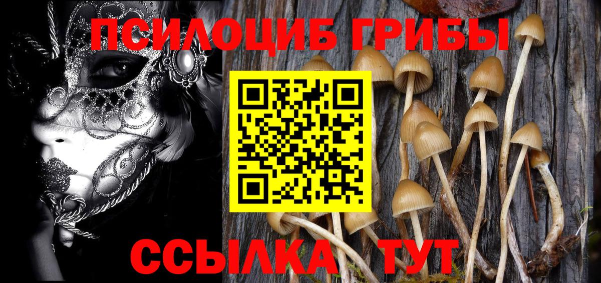 Галлюциногенные грибы MAGIC MUSHROOMS  Псилоцибиновые грибы мицелий  Вход с VPN  Сегежа 